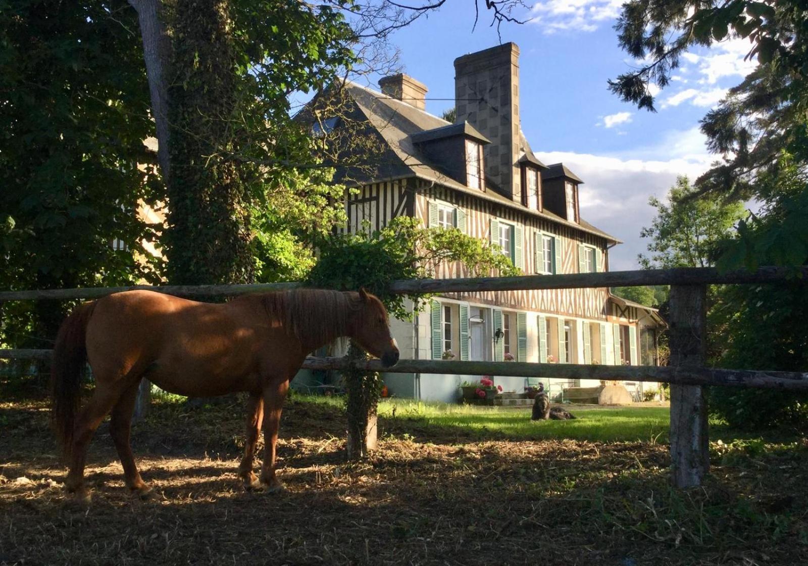 Le Domaine Lieu Bill, Normandie Blonville-sur-Mer Bagian luar foto